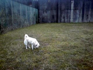 �~�q�̓��L