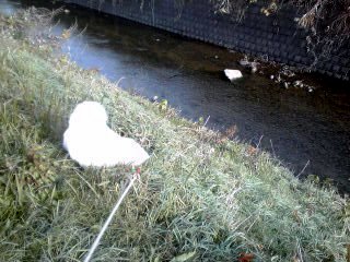 �~�q�̓��L