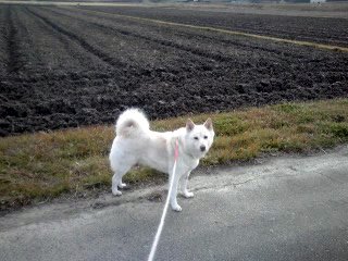 �~�q�̓��L