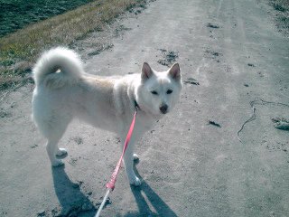 �~�q�̓��L