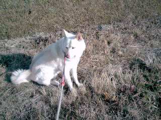 �~�q�̓��L