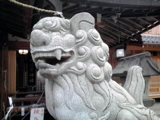 �~�q�̓��L