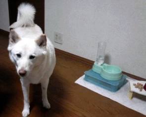 �~�q�̓��L