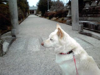 �~�q�̓��L