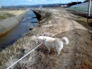 �~�q�̓��L