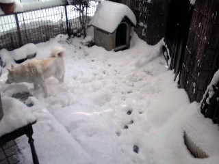 �~�q�̓��L