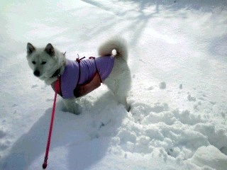 �~�q�̓��L