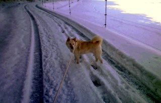 �~�q�̓��L