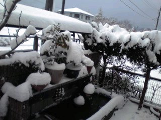 �~�q�̓��L