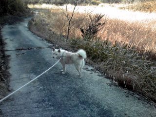 �~�q�̓��L