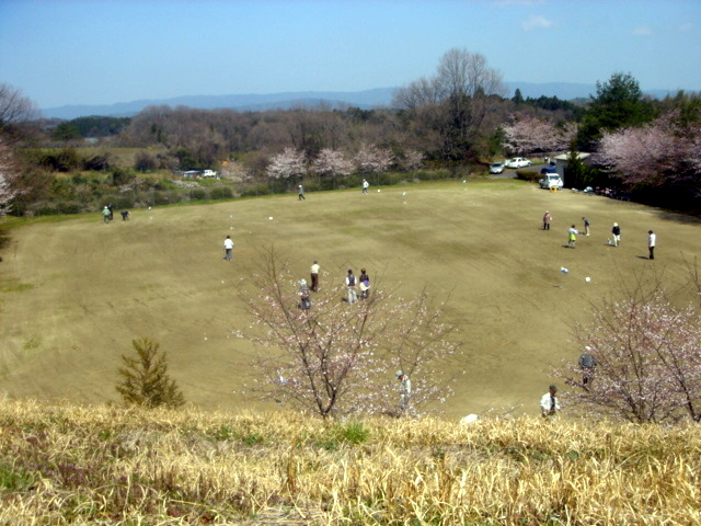 �~�q�̓��L