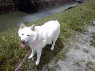 �~�q�̓��L