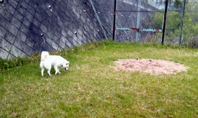 �~�q�̓��L