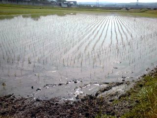 �~�q�̓��L