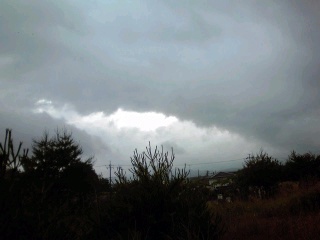 �~�q�̓��L