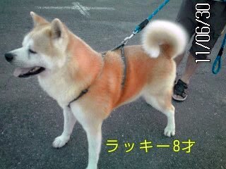 �~�q�̓��L