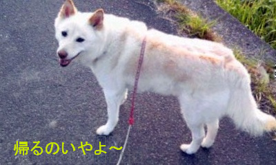 �~�q�̓��L