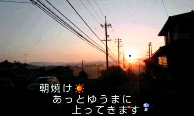 �~�q�̓��L