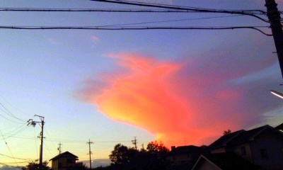 �~�q�̓��L