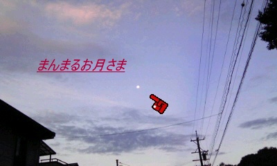 �~�q�̓��L