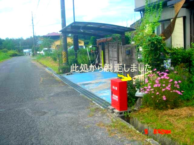 �~�q�̓��L