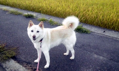 �~�q�̓��L