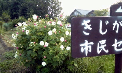 �~�q�̓��L