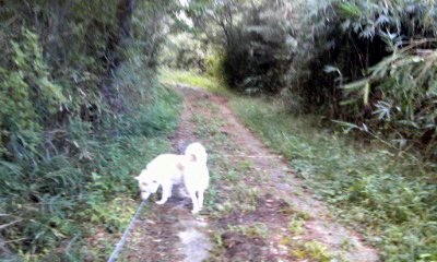 �~�q�̓��L