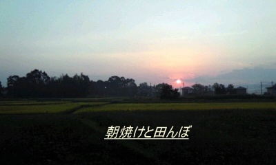 �~�q�̓��L