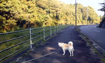 �~�q�̓��L