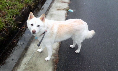 �~�q�̓��L