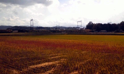 �~�q�̓��L