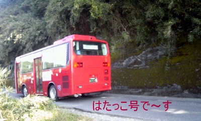 �~�q�̓��L