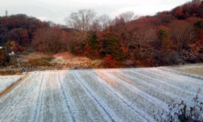 �~�q�̓��L