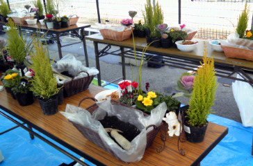 �~�q�̓��L