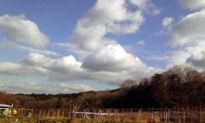 �~�q�̓��L