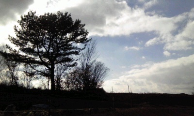 �~�q�̓��L