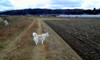 �~�q�̓��L