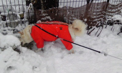 �~�q�̓��L