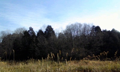 �~�q�̓��L