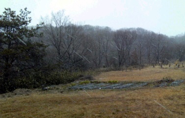 �~�q�̓��L