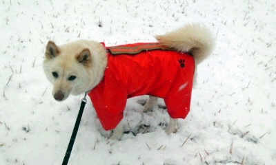 �~�q�̓��L