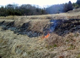 �~�q�̓��L