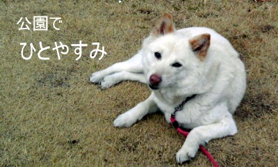 �~�q�̓��L