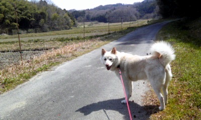 �~�q�̓��L