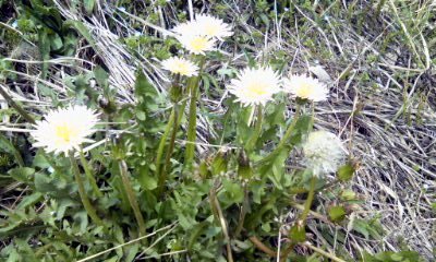 �~�q�̓��L