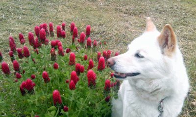 �~�q�̓��L