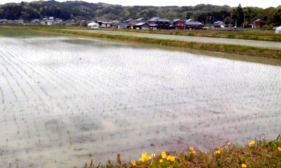 �~�q�̓��L