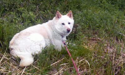 �~�q�̓��L