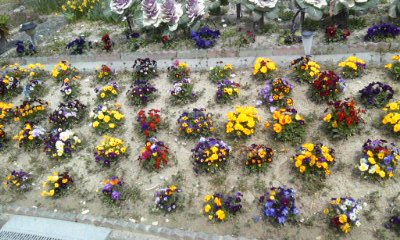 �~�q�̓��L